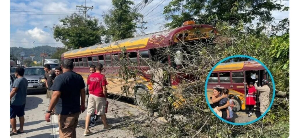 Sucesos al día whatsapp image 2026 04 02 at 9.08.08 pm